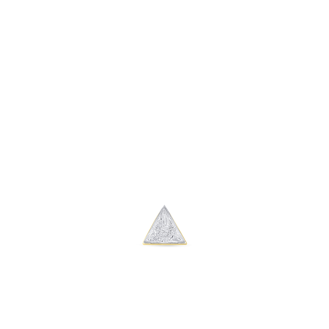 NIVTGD-YG-W25-NL_2_P