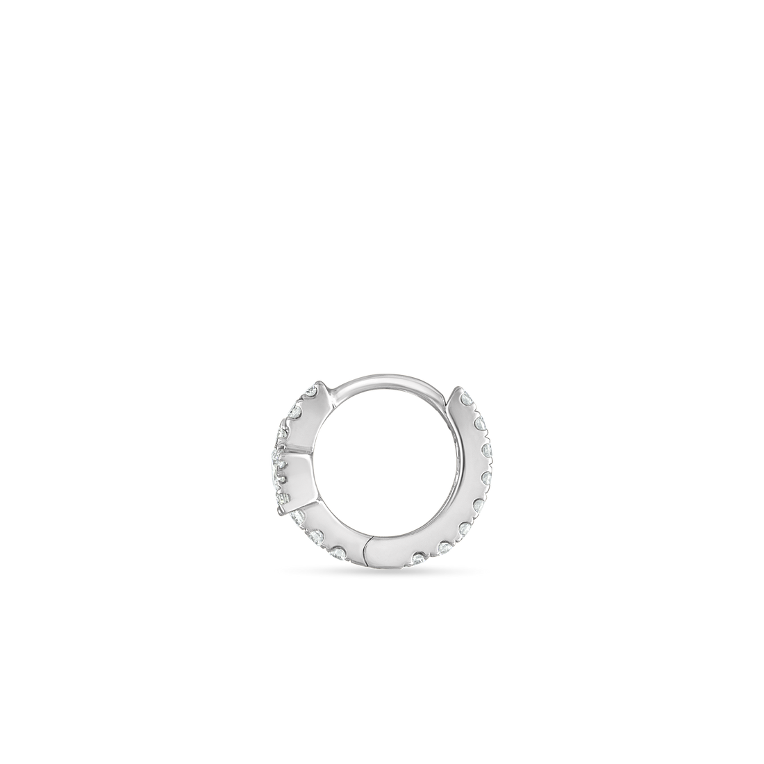 XETSTD-WG-D65_2_P