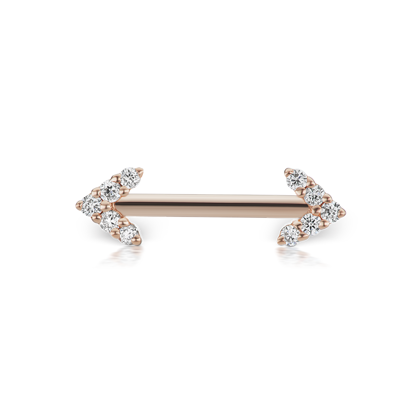 Double Diamond Arrow Nipple Barbell