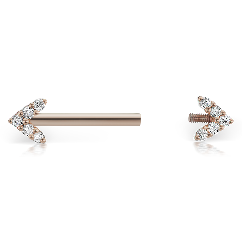 Double Diamond Arrow Nipple Barbell