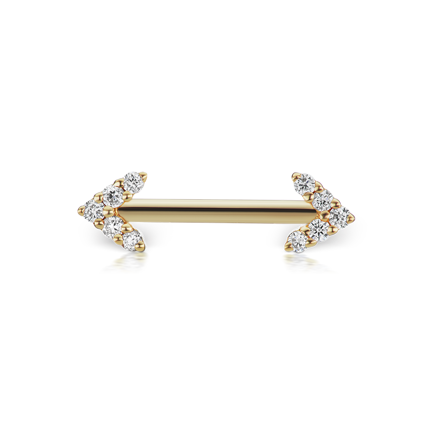 Double Diamond Arrow Nipple Barbell