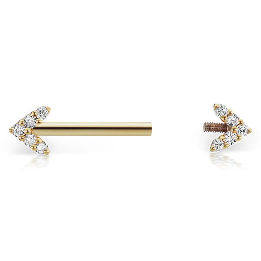 Double Diamond Arrow Nipple Barbell
