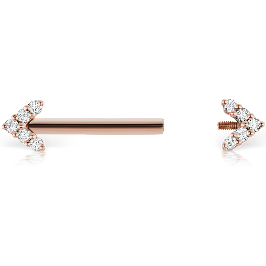 Double Diamond Arrow Nipple Barbell