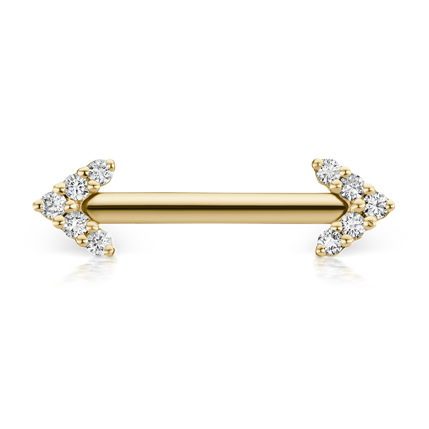 Double Diamond Arrow Nipple Barbell