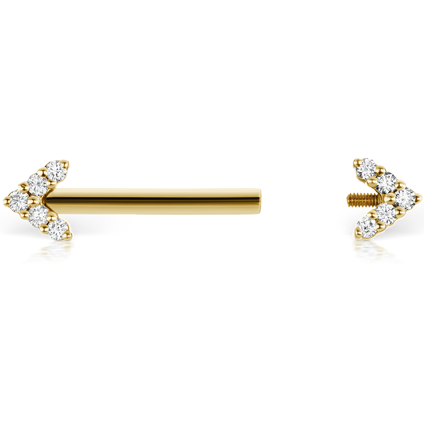 Double Diamond Arrow Nipple Barbell