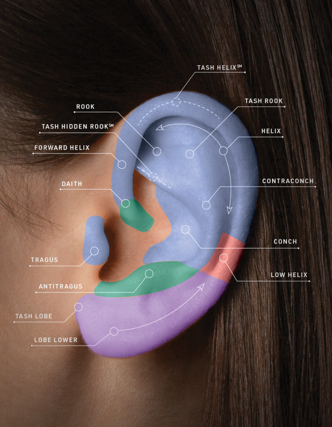 Piercing Guide 