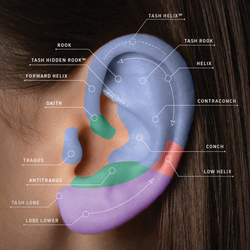 Piercing Guide 