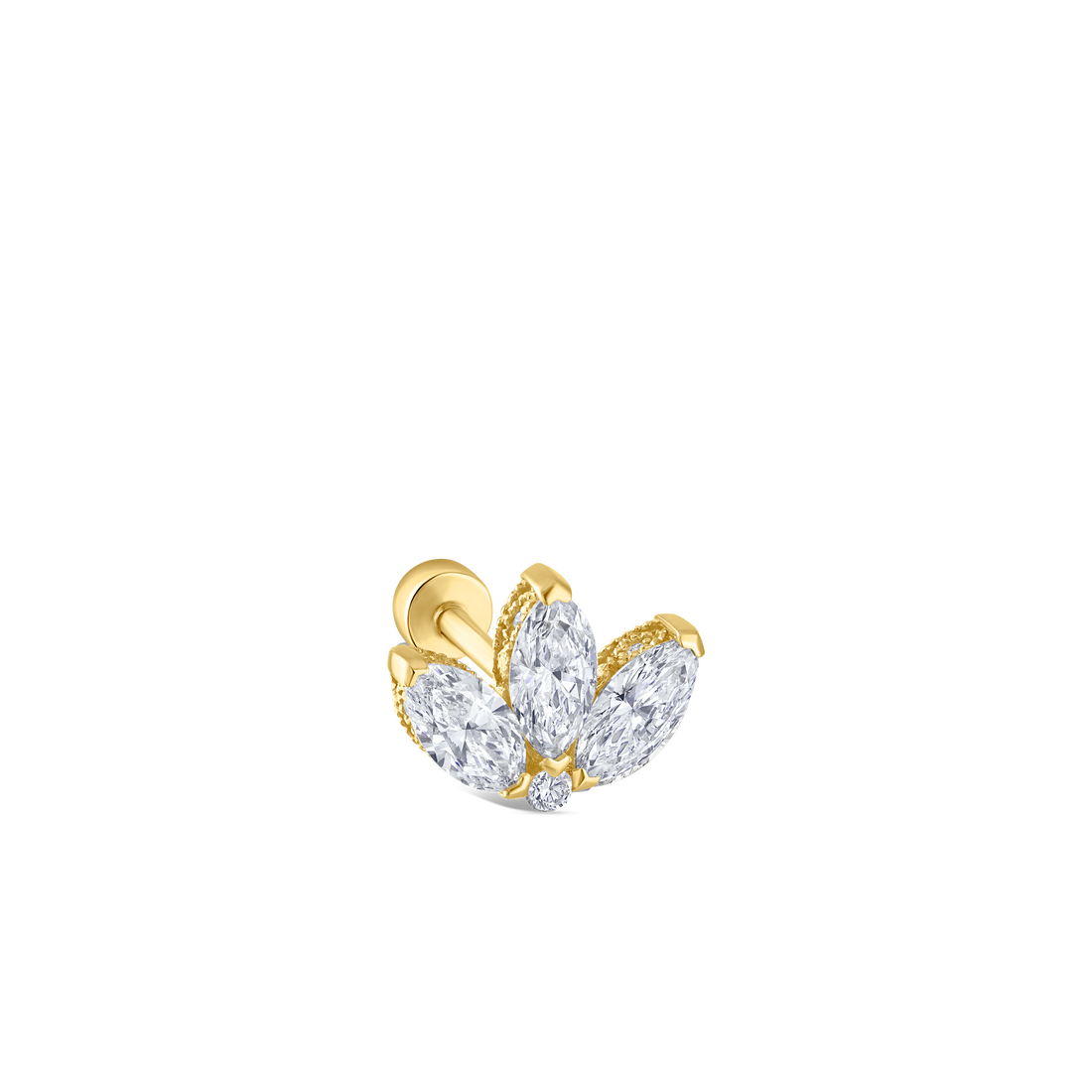Titanium_XLOTEGD-YG-W6_2