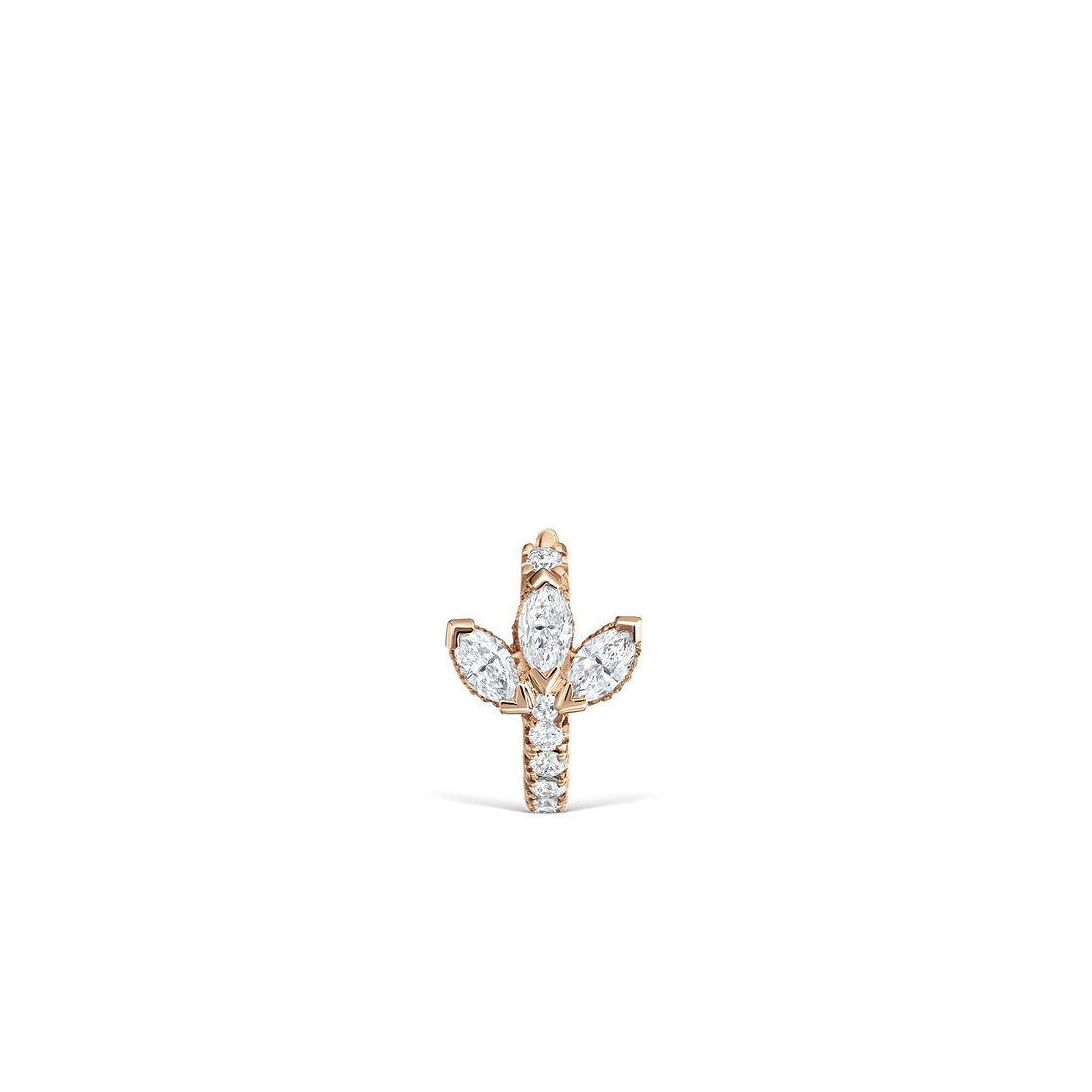 XETLOTD-RG-D65_2_P
