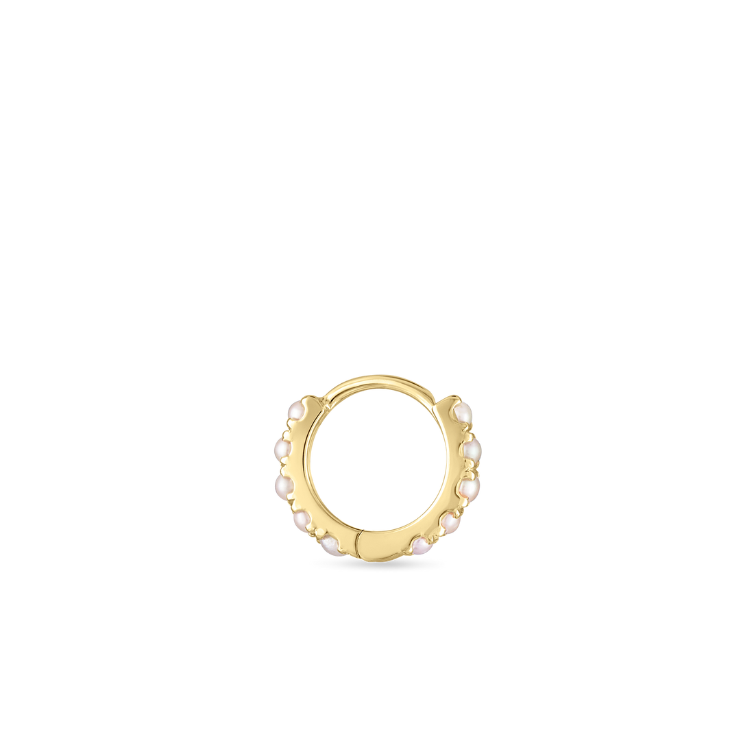 XETPE-YG-D65_2_P