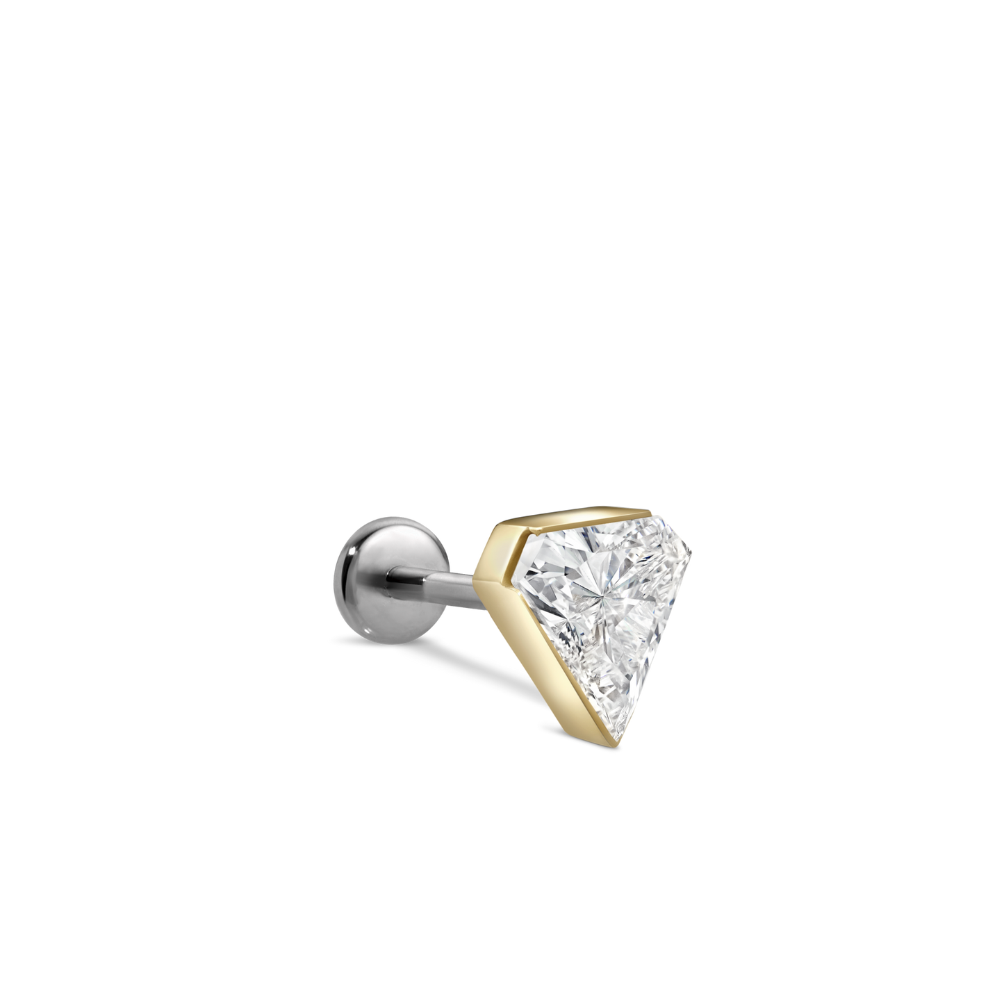 Invisible Set Silhouette Diamond Threaded Stud Earring With Titanium Backing