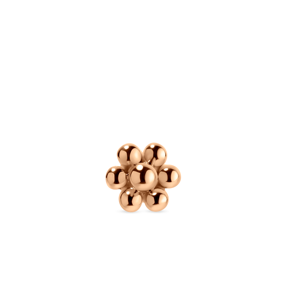 ZPBFR-RG-W6-G16_RS3_2