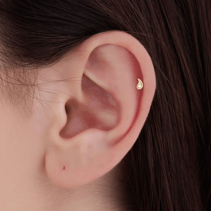 Diamond Paisley Threaded Stud Earring With Titanium Backing