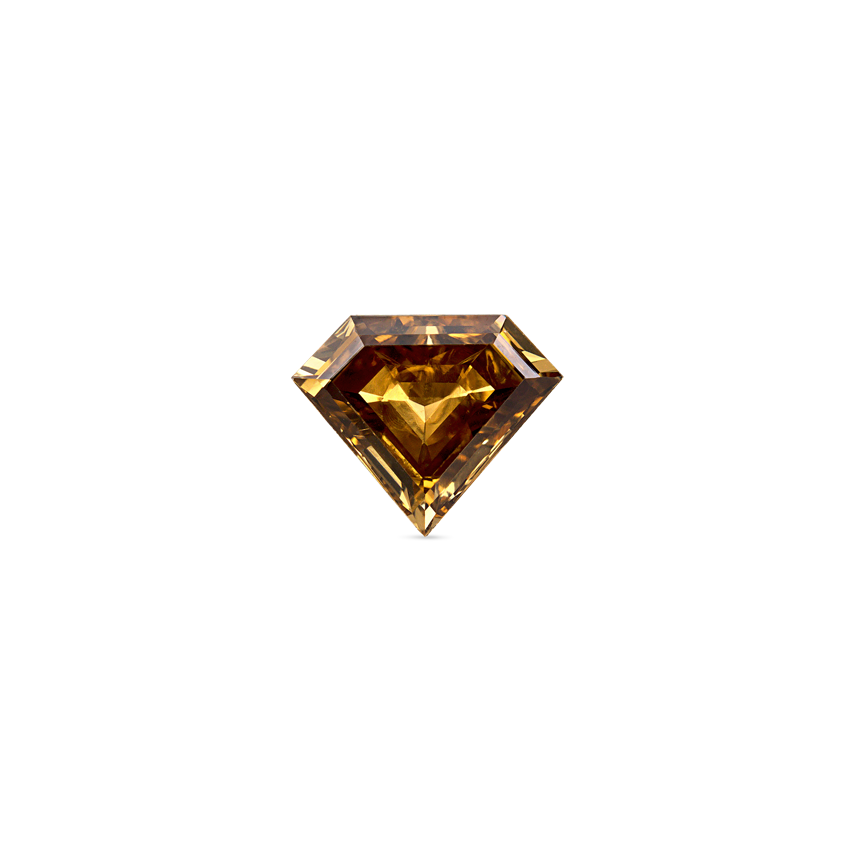 Invisible Set Silhouette Cognac Diamond Threaded Stud