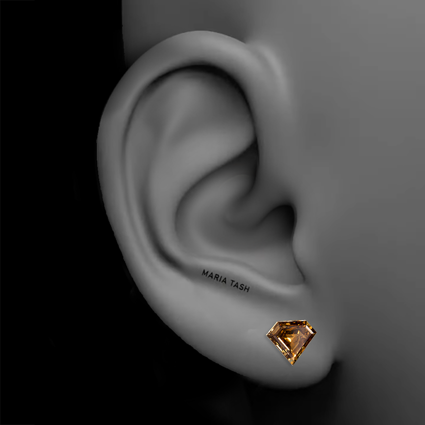 Invisible Set Silhouette Cognac Diamond Threaded Stud